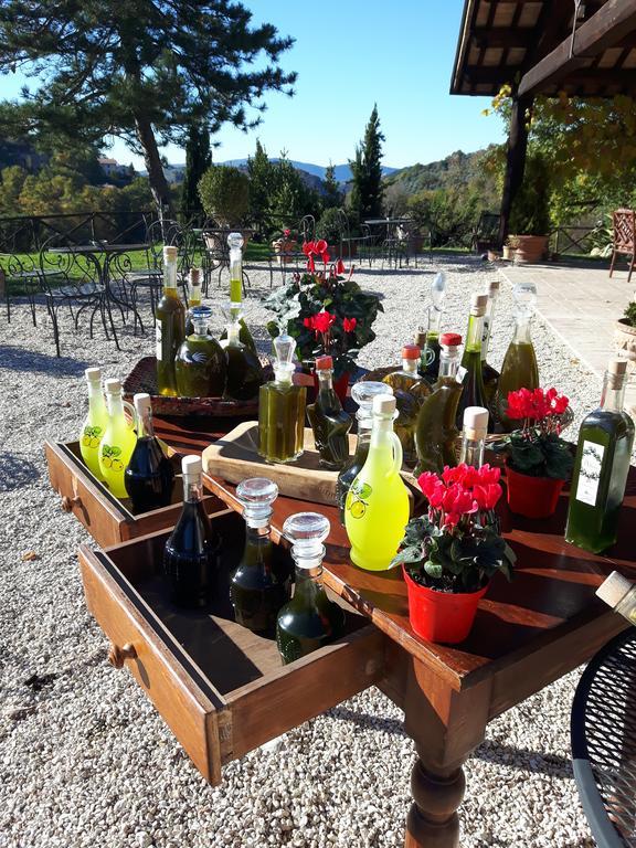 Santa Giusta Vakantieboerderij Poggio San Lorenzo